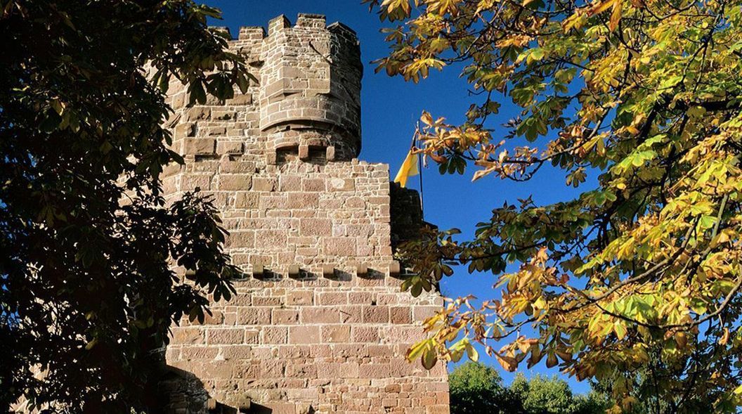 Detail der Burgfeste Dilsberg