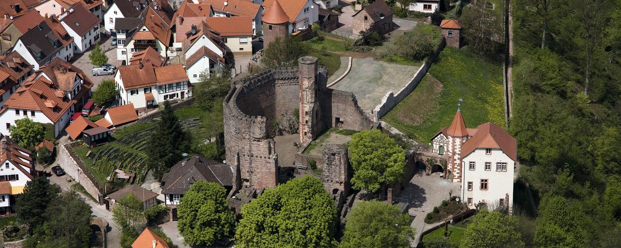 Dilsberg Fortress Ruins