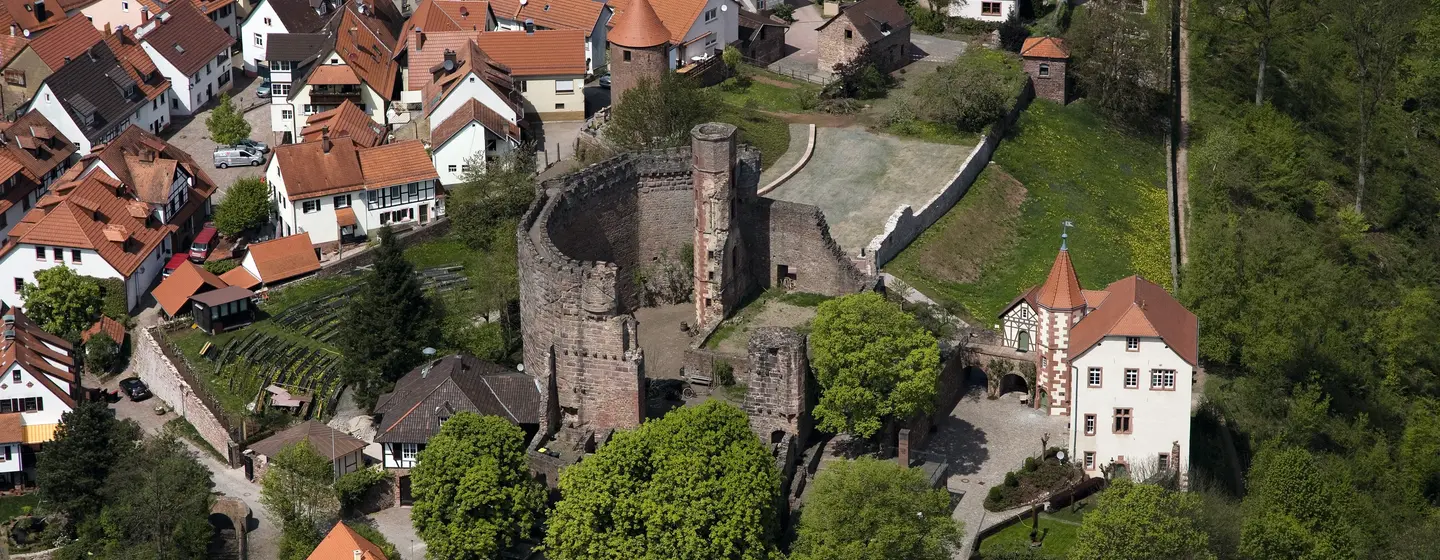 Dilsberg Fortress Ruins