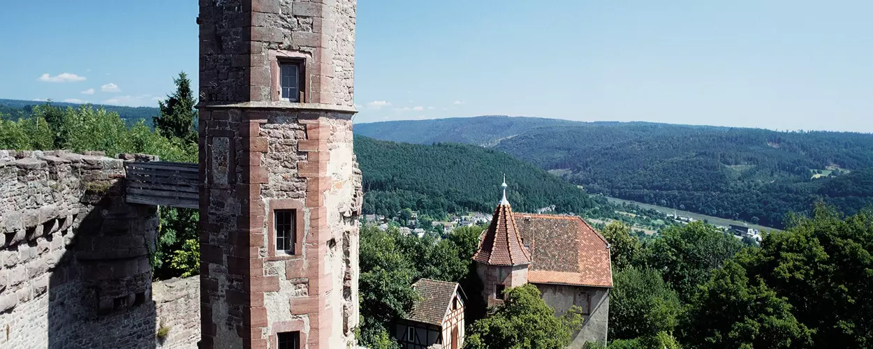 Ruines du château-fort de Dilsberg, la tour