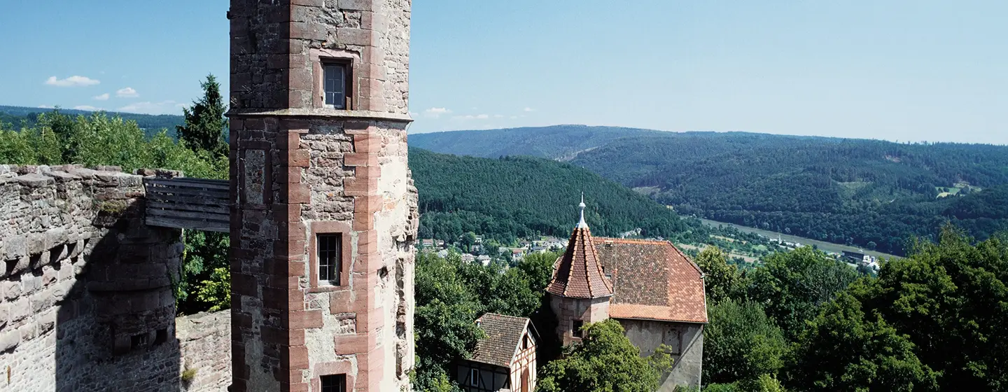 Dilsberg Fortress Ruins
