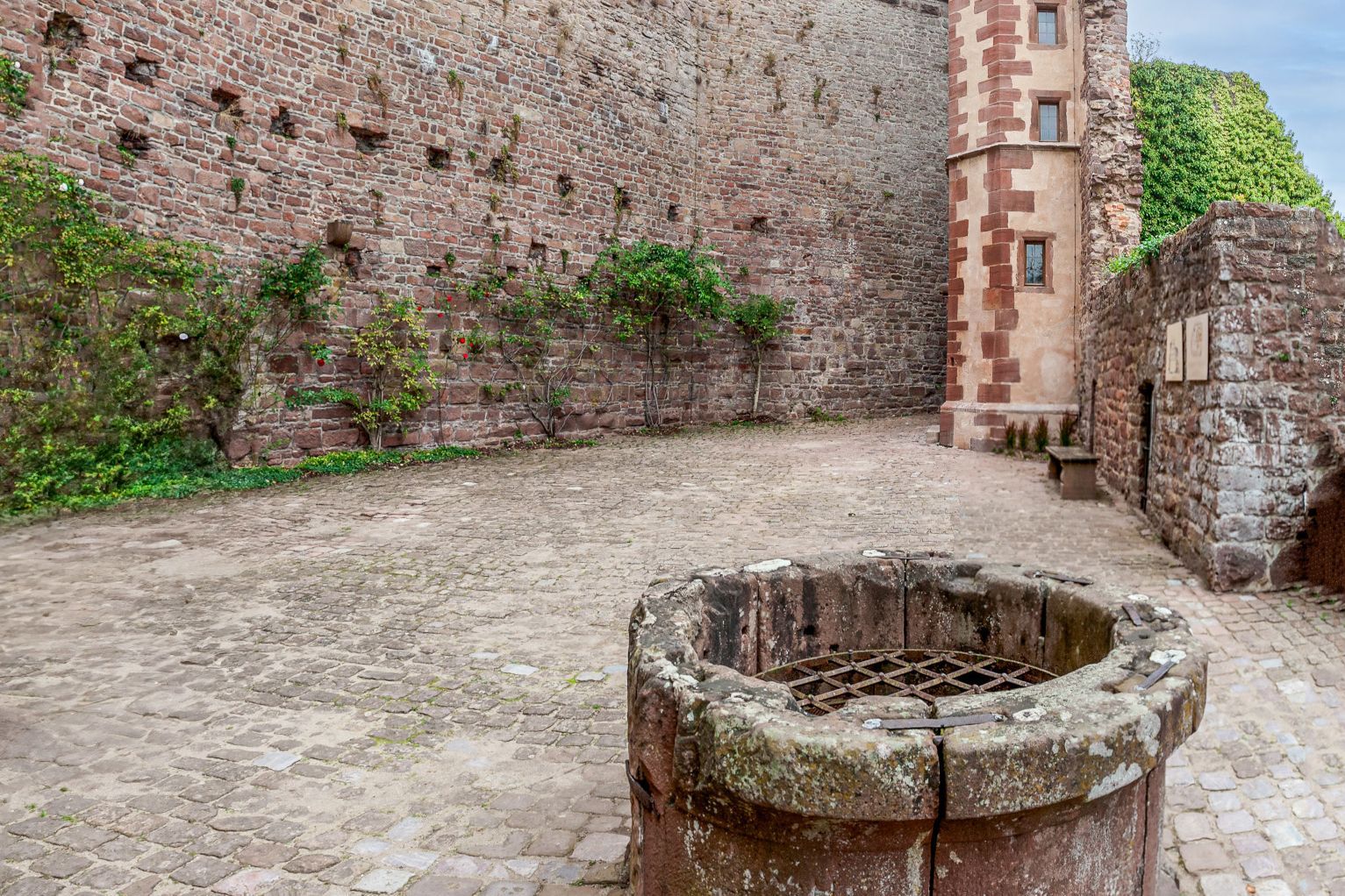 Burgfeste Dilsberg, Brunnen im Burghof