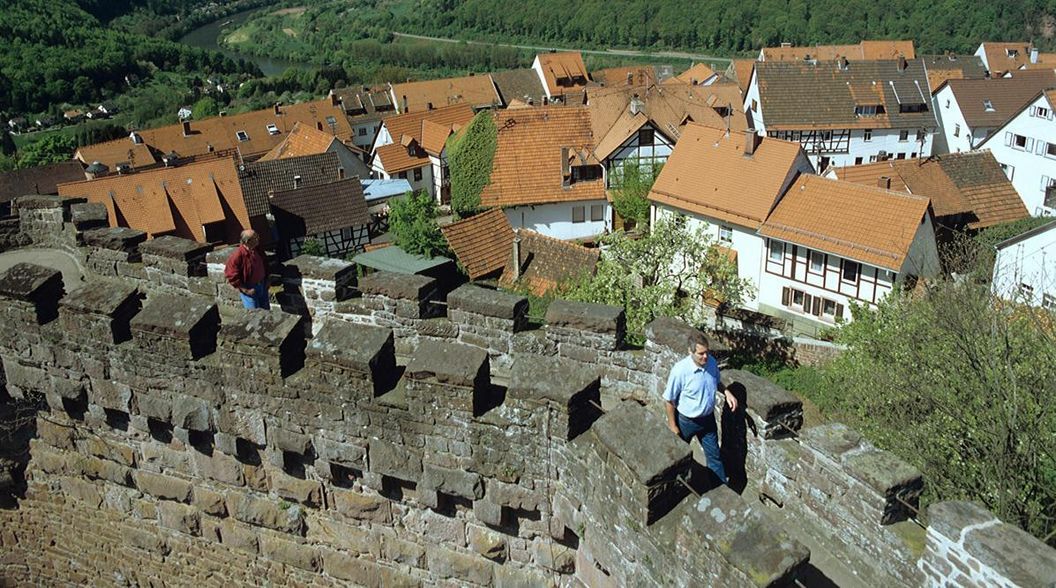 Blick auf die Stadt und ins Neckartal